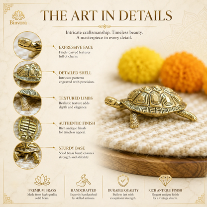 Unique Design Brass 2 Inch Tortoise for Good Luck for Home, Ideal for Gifting.